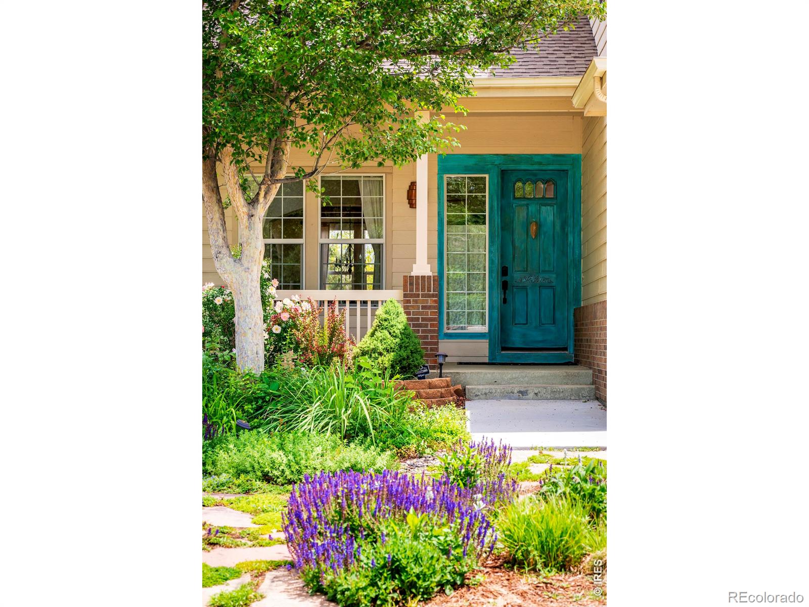 MLS Image #2 for 1816  alpine street,longmont, Colorado
