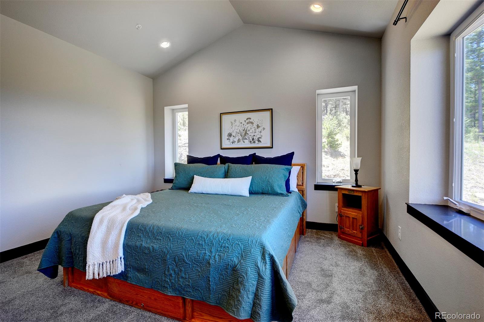 MLS Image #21 for 25845  sunny aspen trail,conifer, Colorado