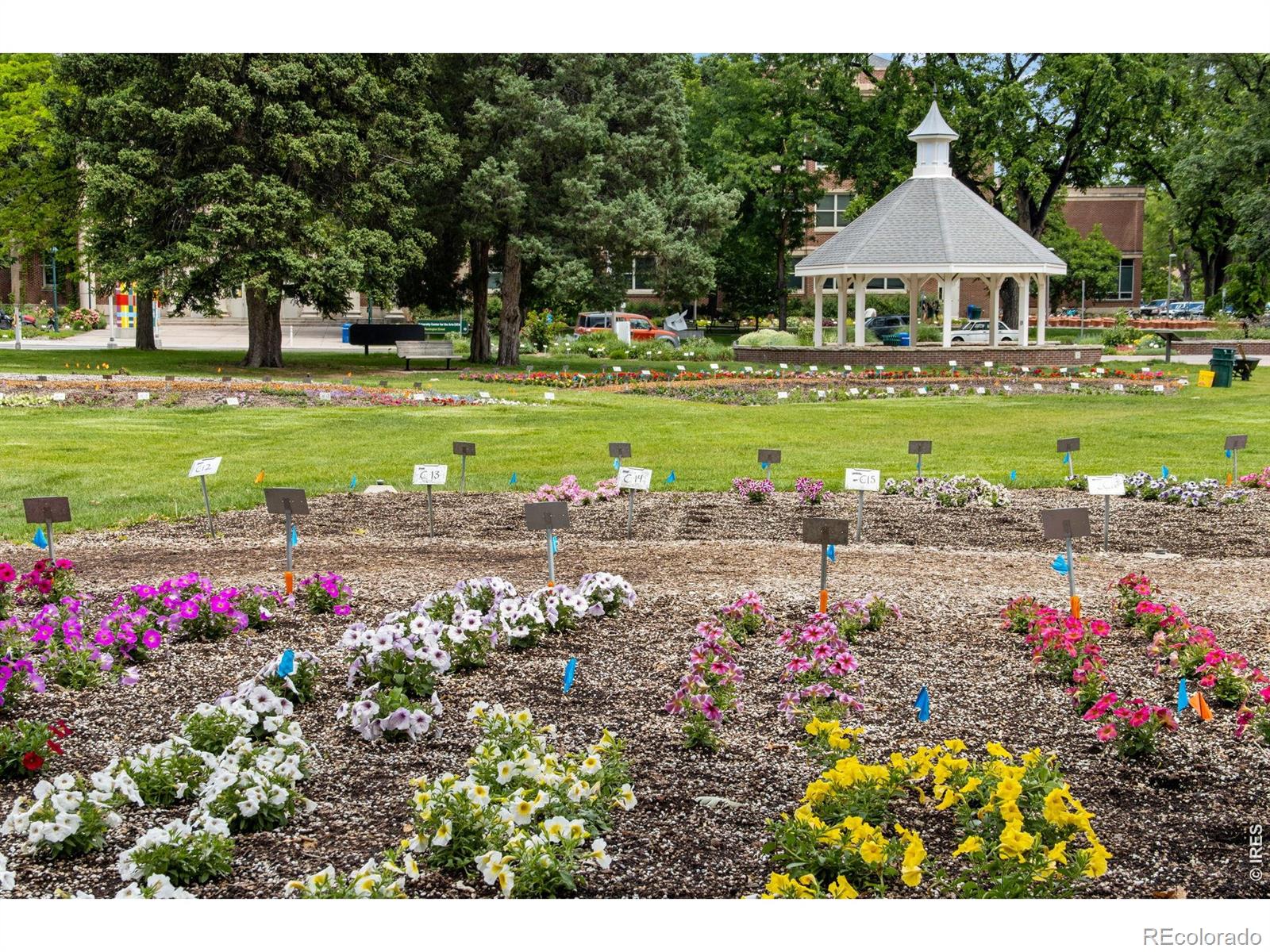 MLS Image #41 for 904  edwards street,fort collins, Colorado