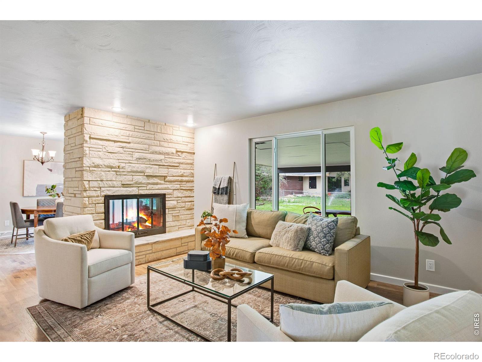 MLS Image #9 for 904  edwards street,fort collins, Colorado