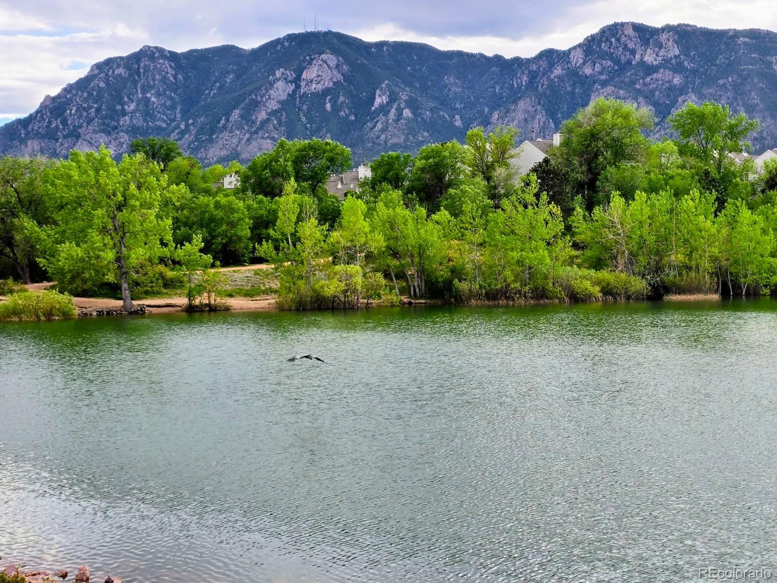 MLS Image #2 for 3238  atrium point,colorado springs, Colorado