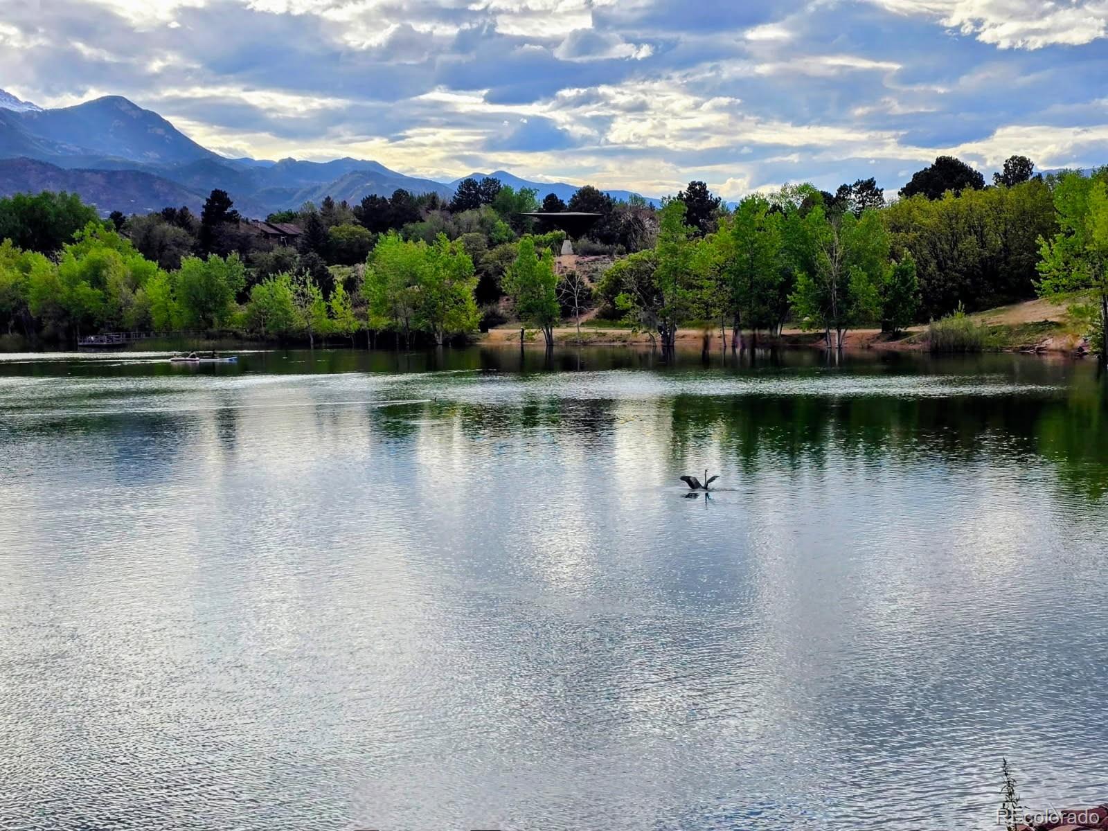 MLS Image #42 for 3238  atrium point,colorado springs, Colorado