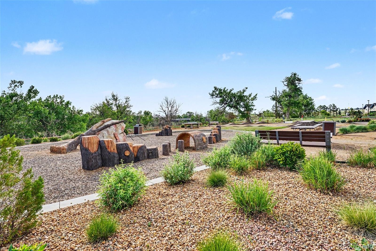 MLS Image #24 for 9283  twenty mile road,parker, Colorado