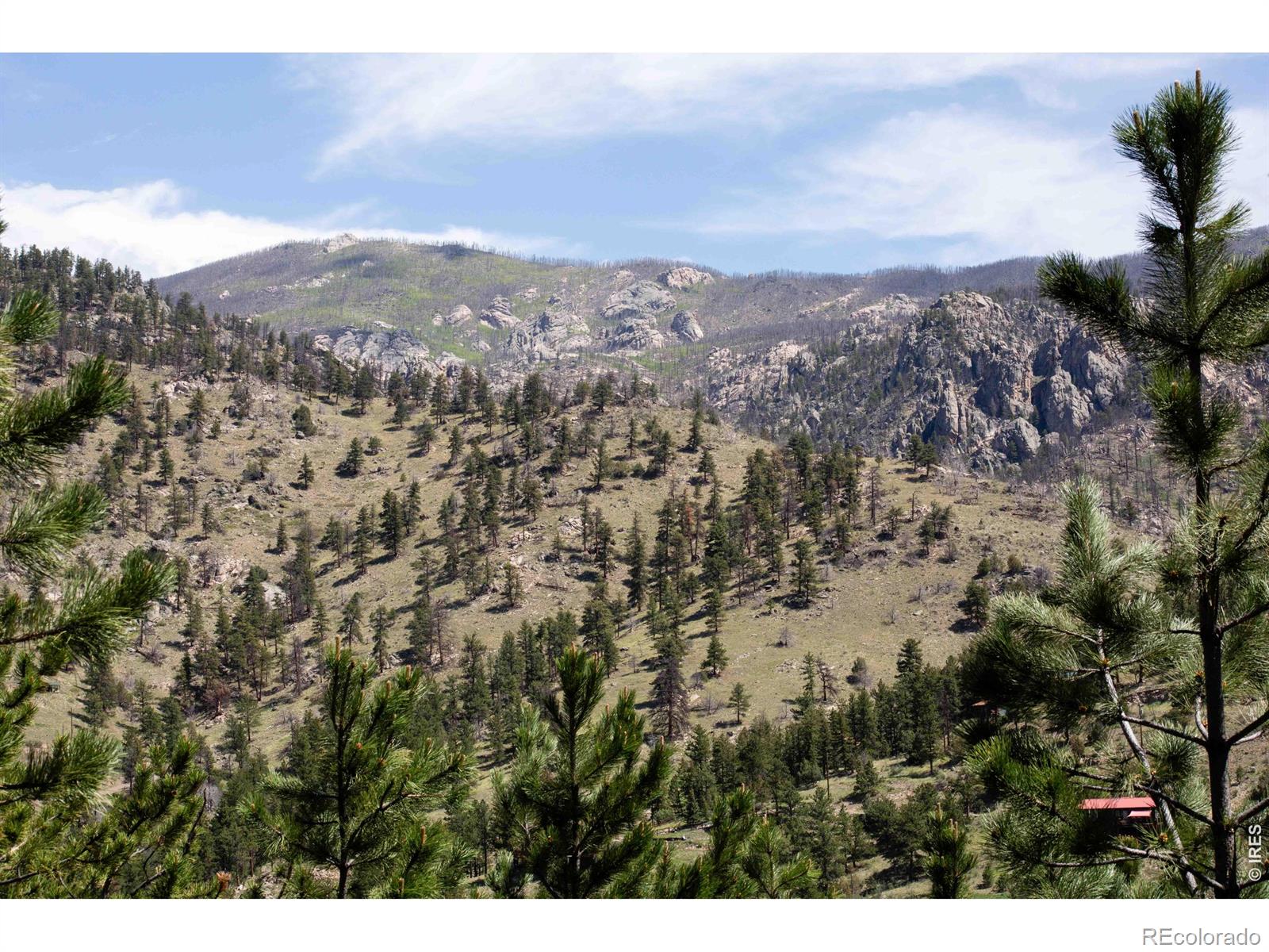 MLS Image #38 for 255  miller fork road,glen haven, Colorado