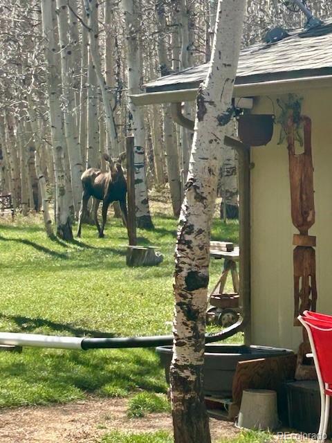MLS Image #31 for 1746  lump gulch road,black hawk, Colorado