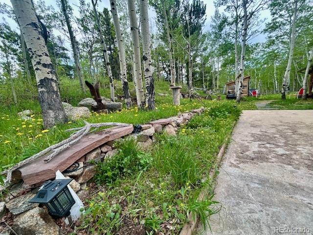 MLS Image #32 for 1746  lump gulch road,black hawk, Colorado
