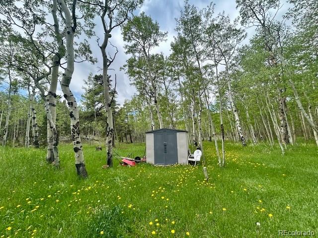 MLS Image #35 for 1746  lump gulch road,black hawk, Colorado
