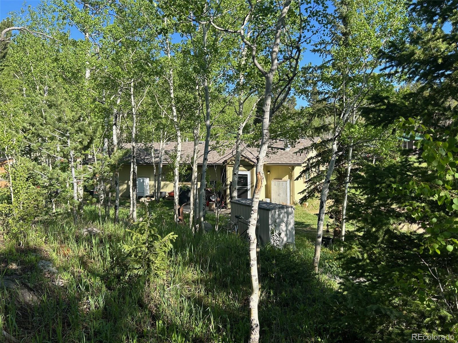 MLS Image #36 for 1746  lump gulch road,black hawk, Colorado