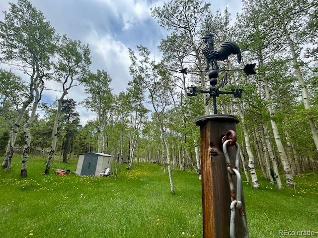 MLS Image #42 for 1746  lump gulch road,black hawk, Colorado