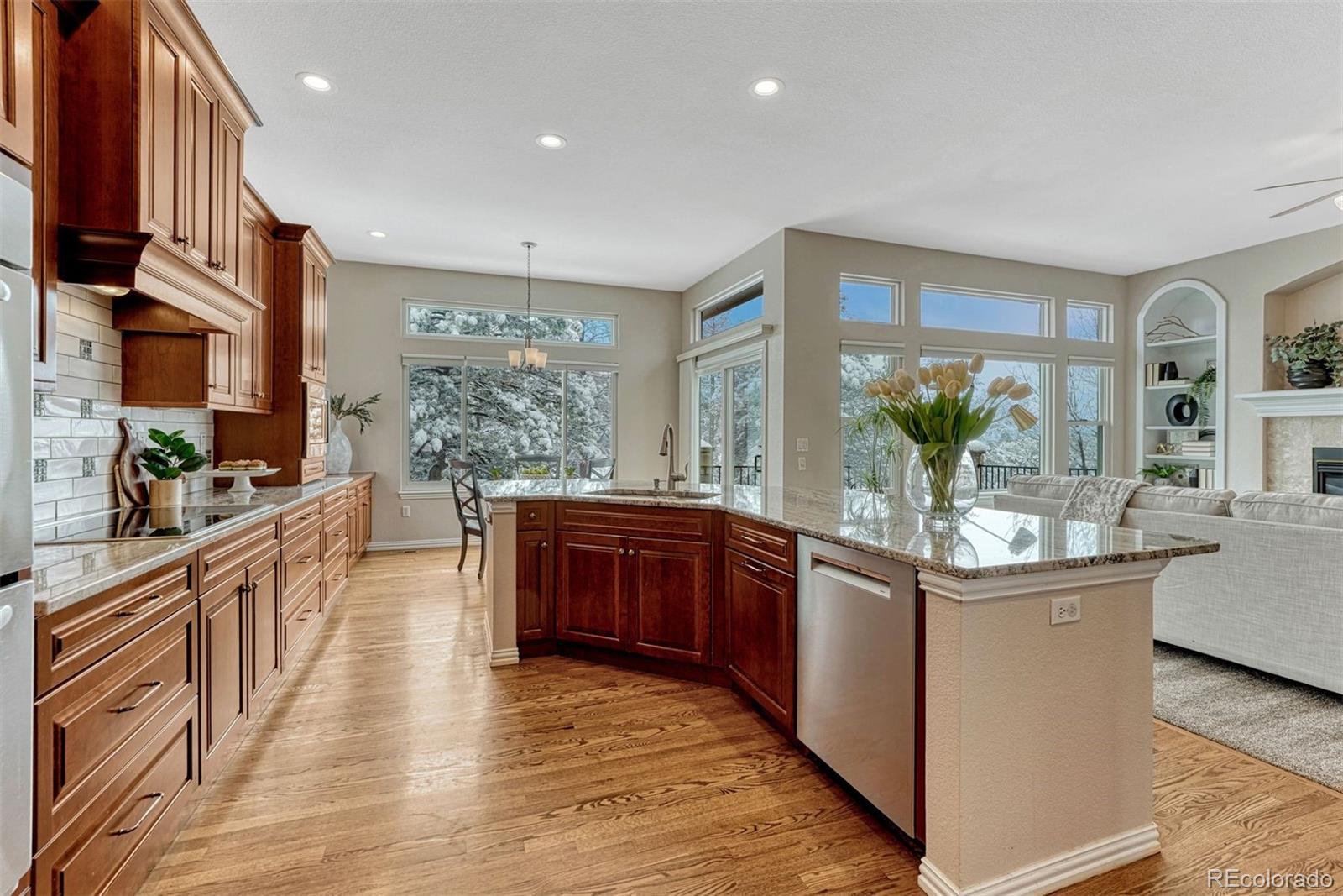 MLS Image #14 for 1248  castle grove place,castle pines, Colorado
