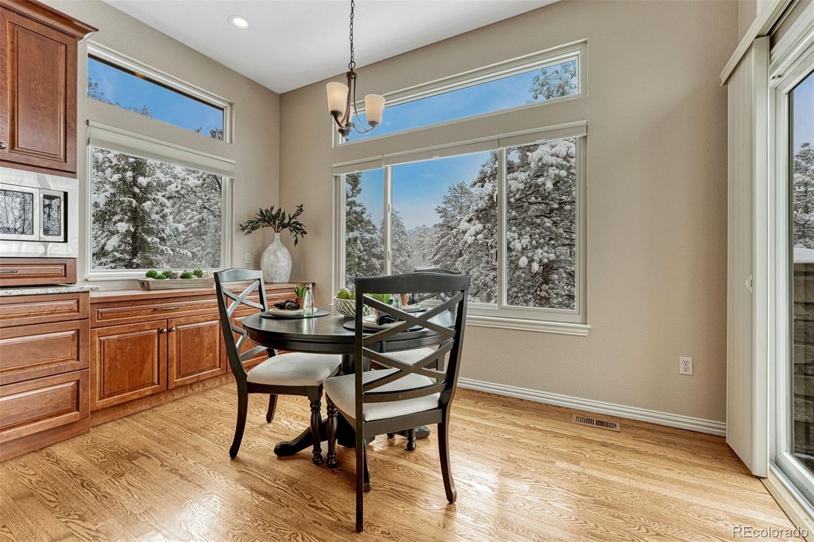 MLS Image #16 for 1248  castle grove place,castle pines, Colorado