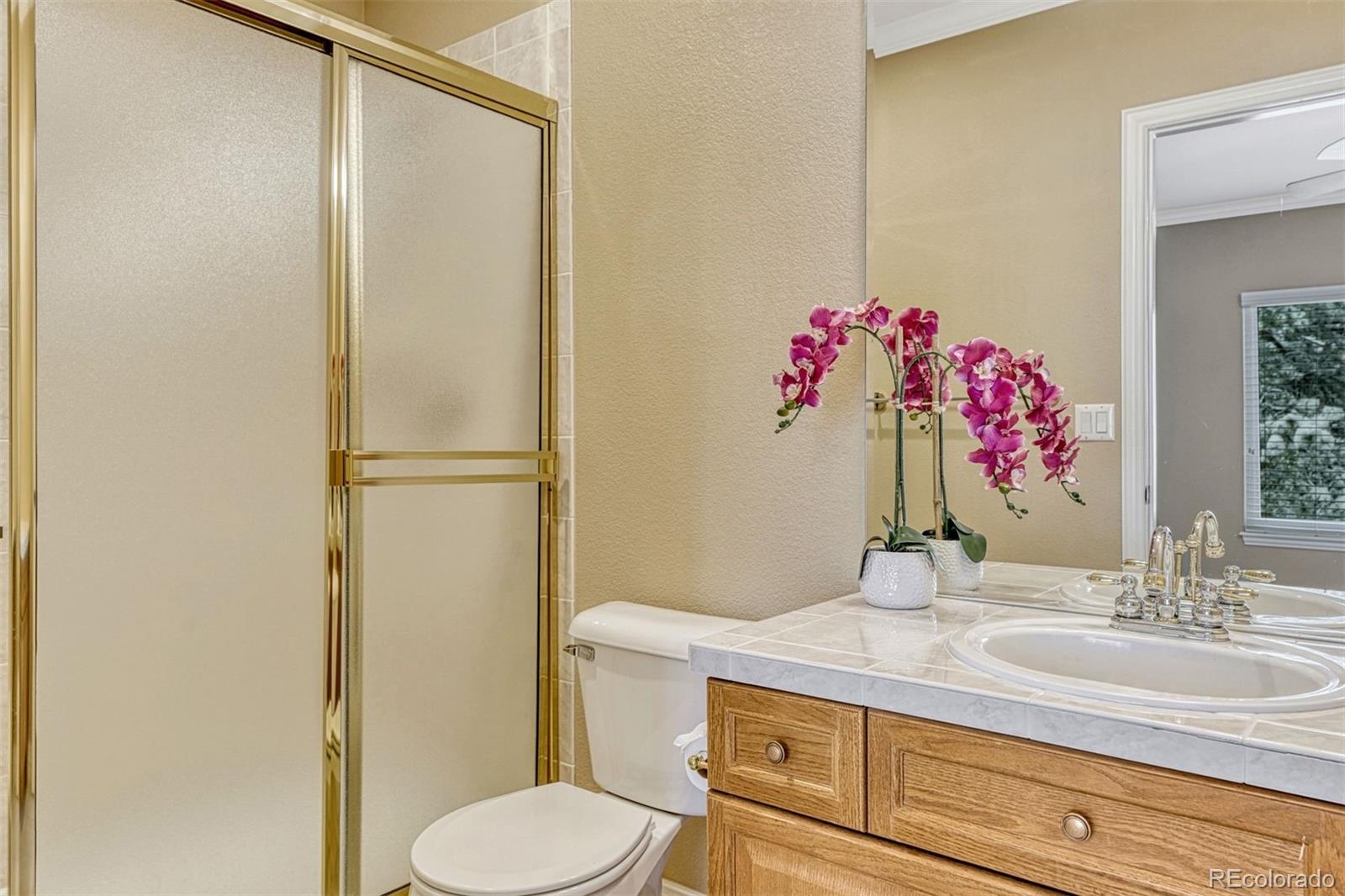 MLS Image #34 for 1248  castle grove place,castle pines, Colorado
