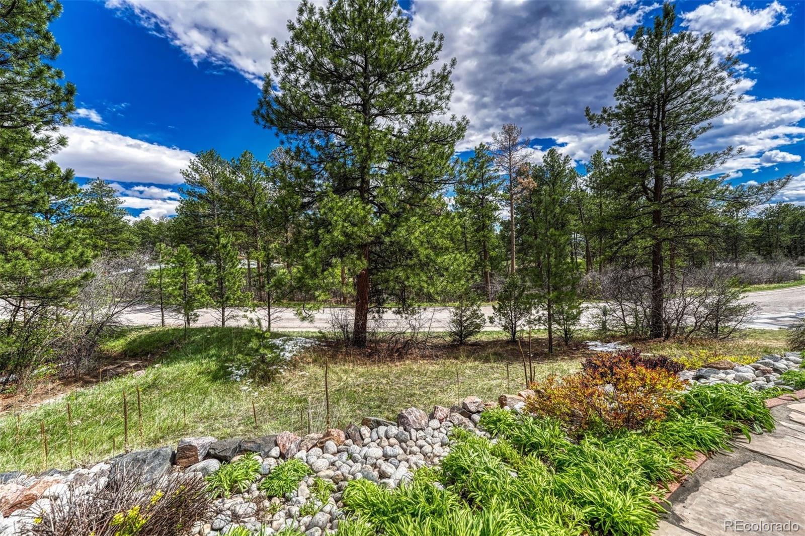 MLS Image #41 for 1248  castle grove place,castle pines, Colorado
