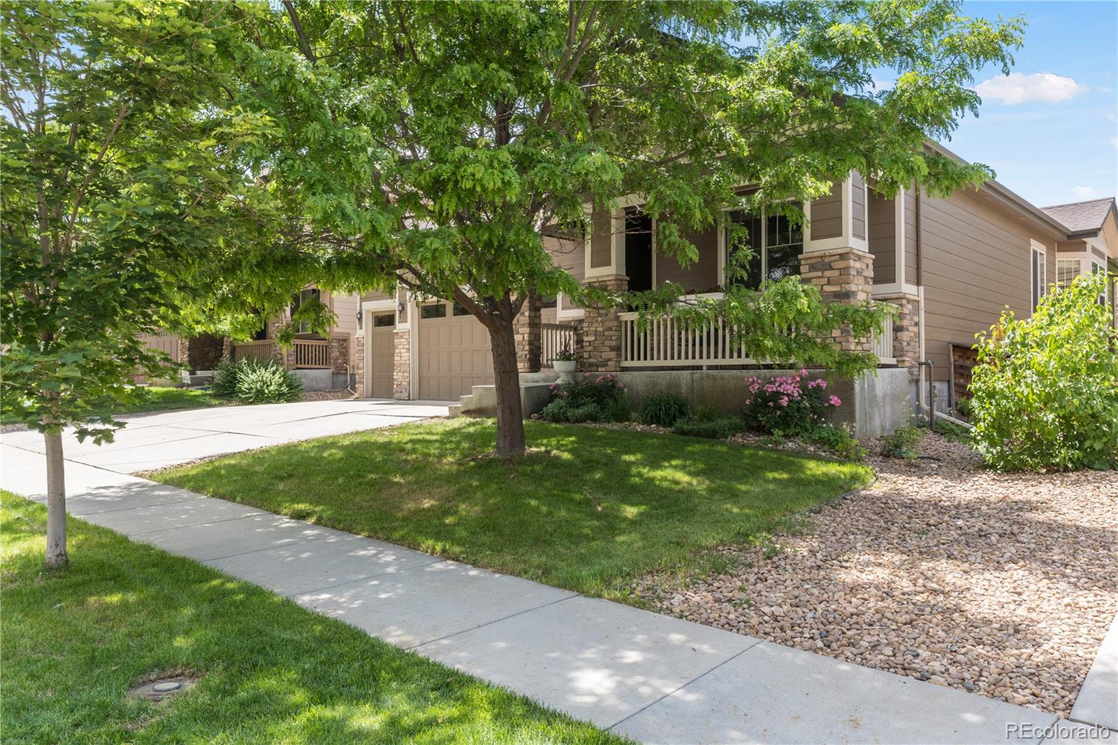 MLS Image #2 for 10905  quintero street,commerce city, Colorado