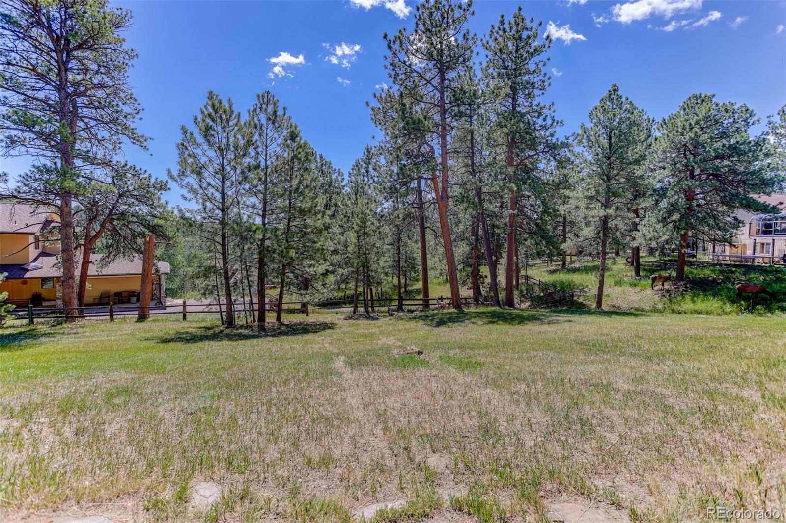 MLS Image #42 for 2838  olympia circle,evergreen, Colorado