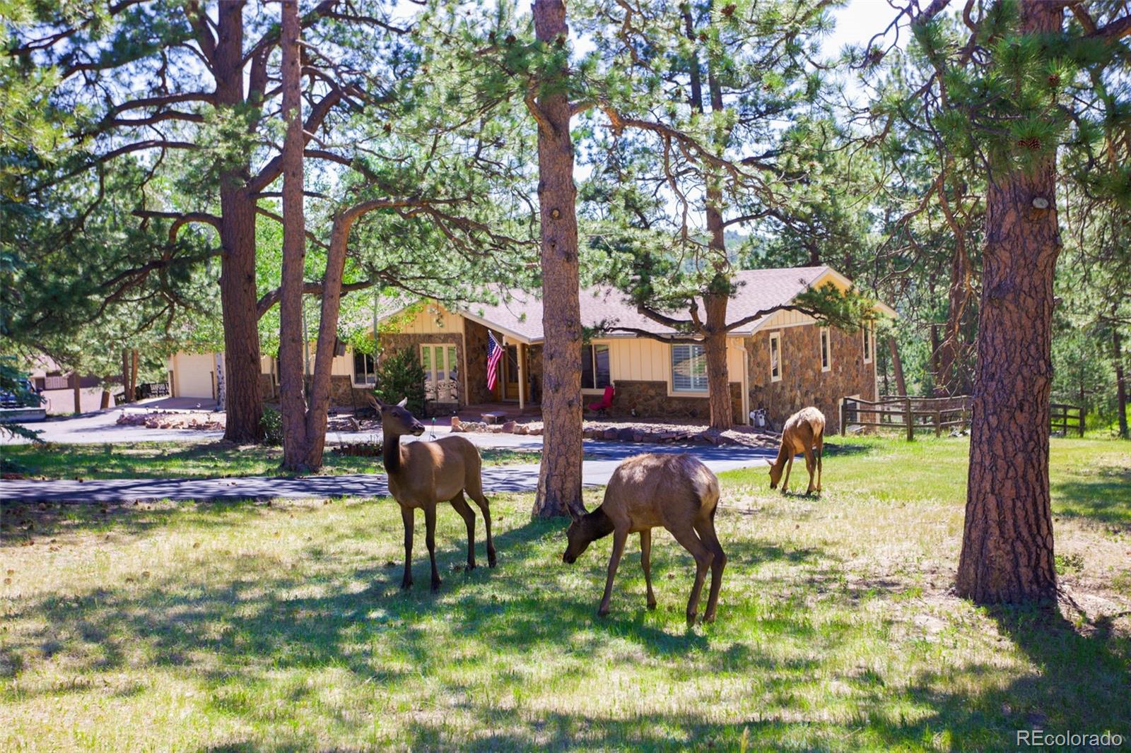 MLS Image #5 for 2838  olympia circle,evergreen, Colorado