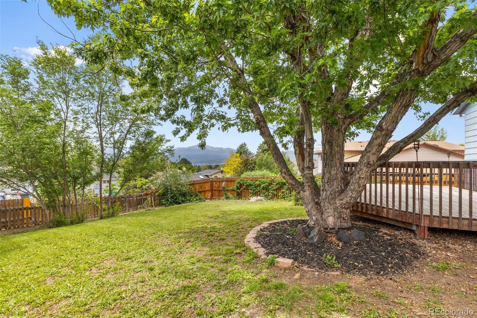 MLS Image #6 for 5574  oro grande drive,colorado springs, Colorado