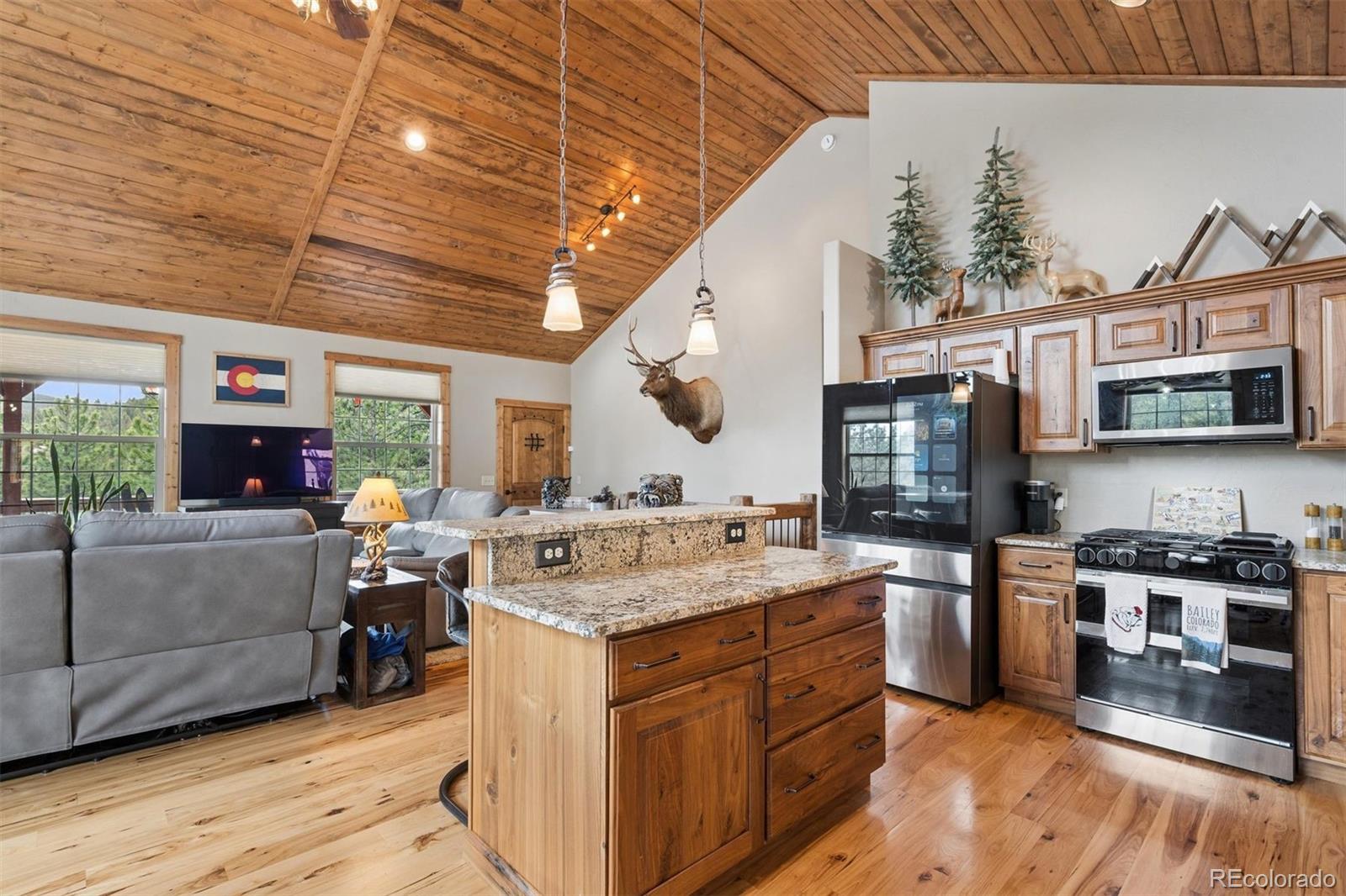 MLS Image #12 for 2894  county road 43 ,bailey, Colorado