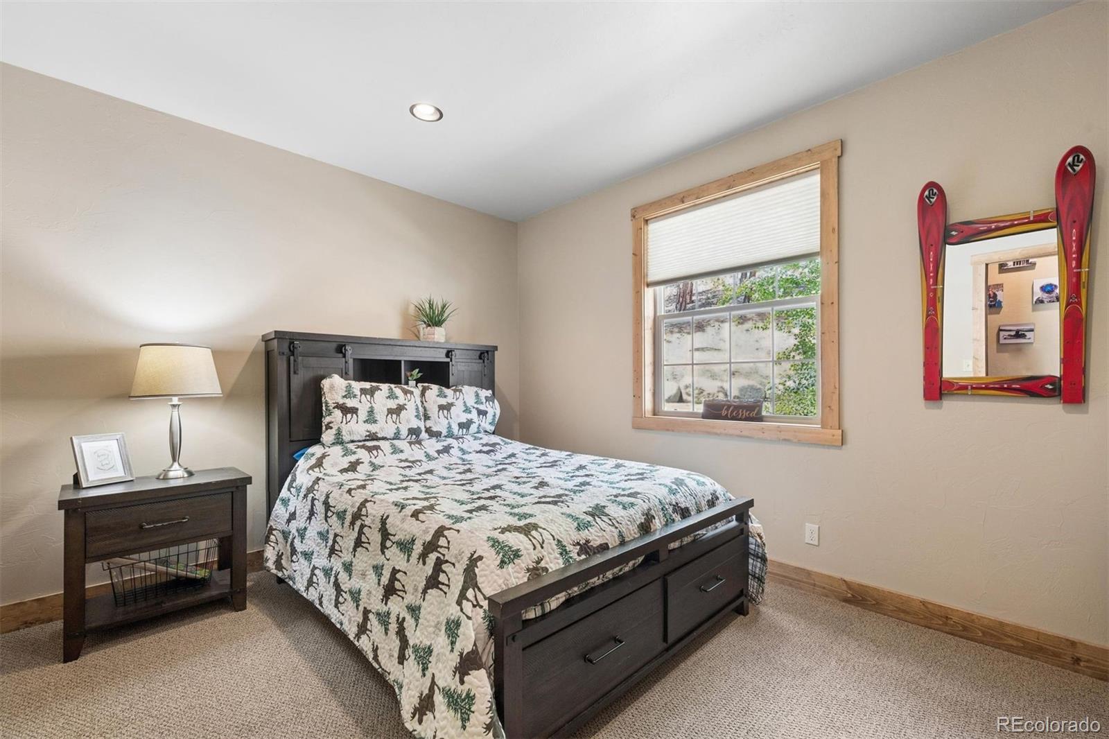 MLS Image #16 for 2894  county road 43 ,bailey, Colorado