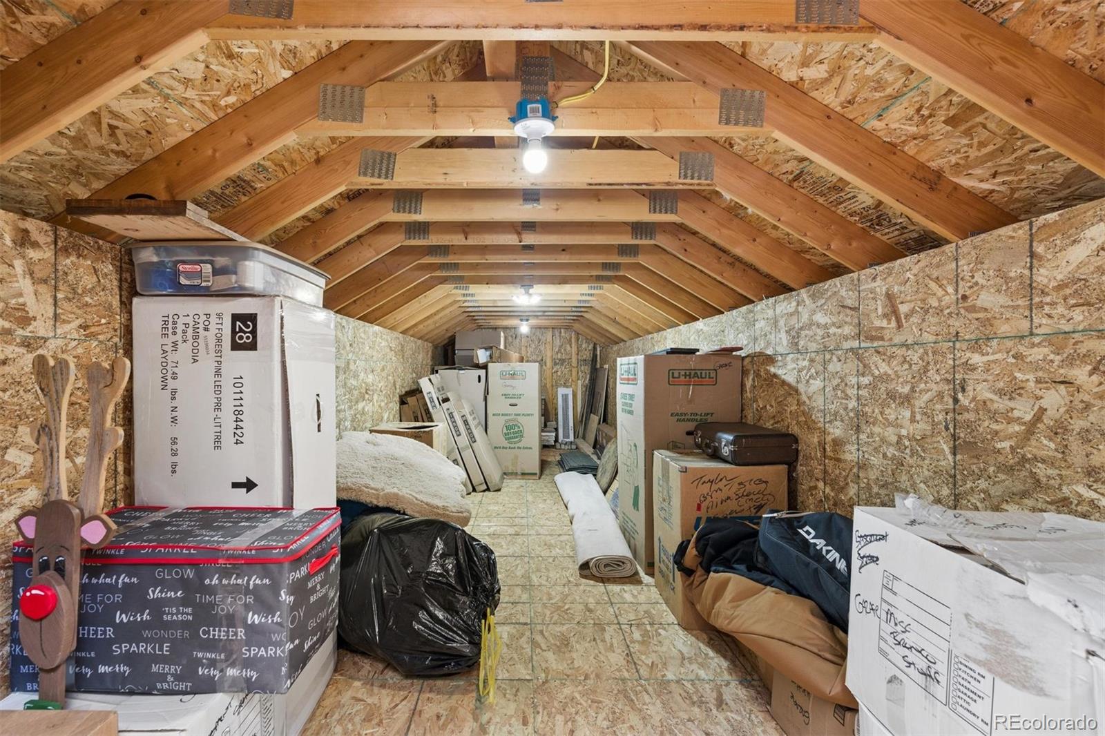 MLS Image #25 for 2894  county road 43 ,bailey, Colorado