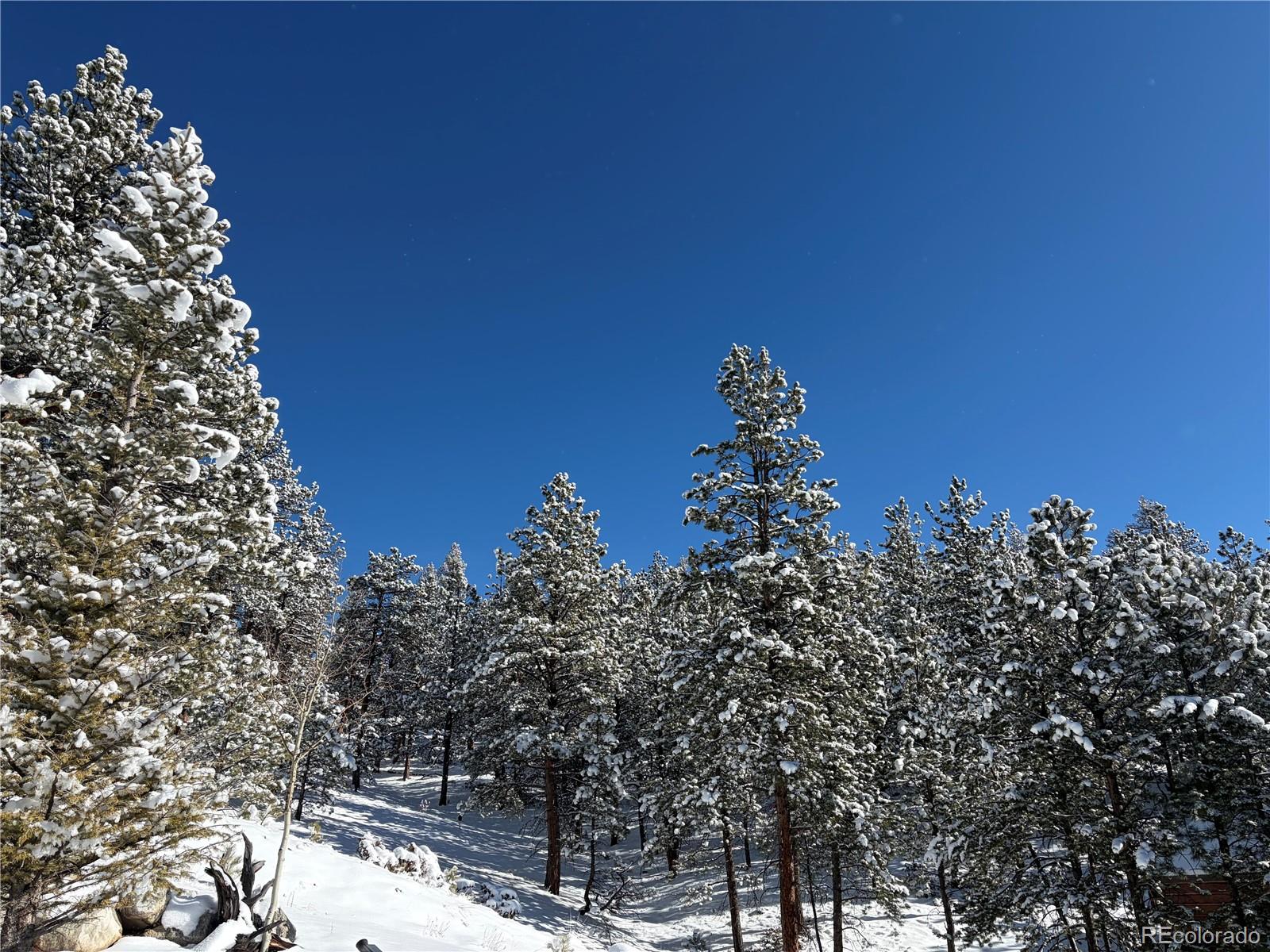 MLS Image #36 for 2894  county road 43 ,bailey, Colorado