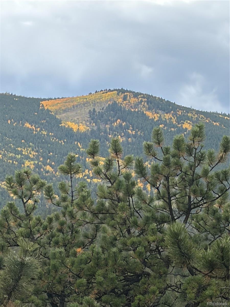 MLS Image #37 for 2894  county road 43 ,bailey, Colorado