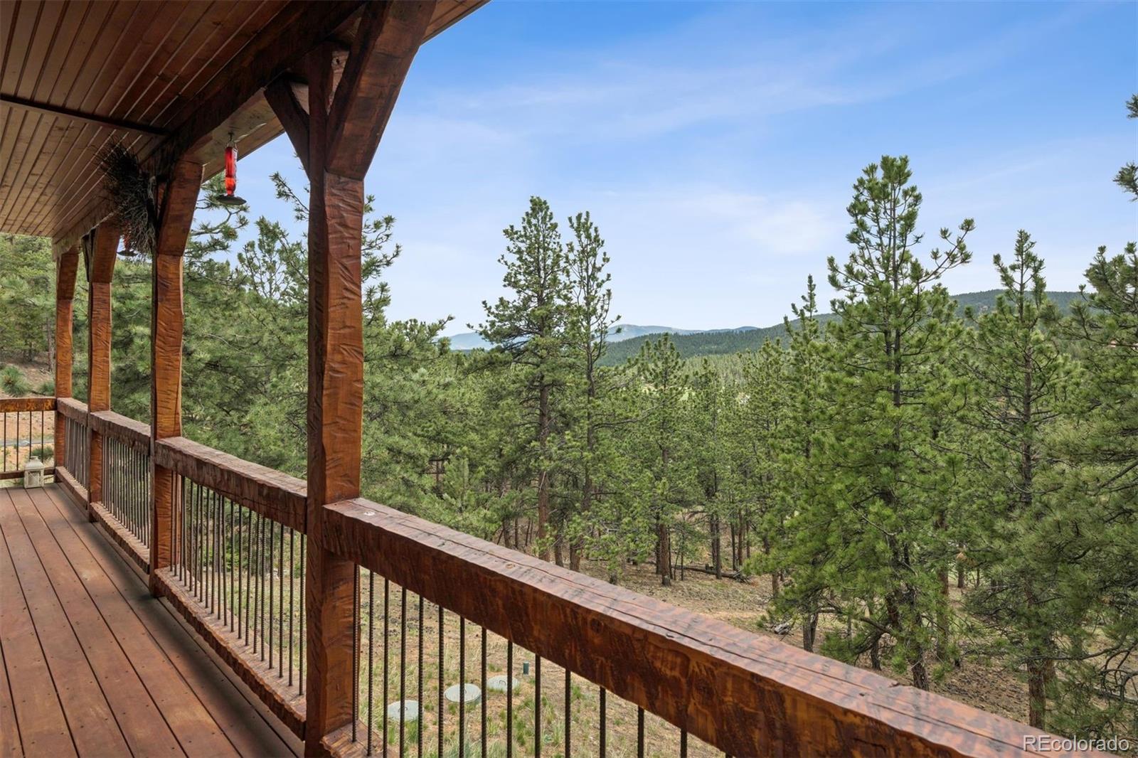 MLS Image #39 for 2894  county road 43 ,bailey, Colorado