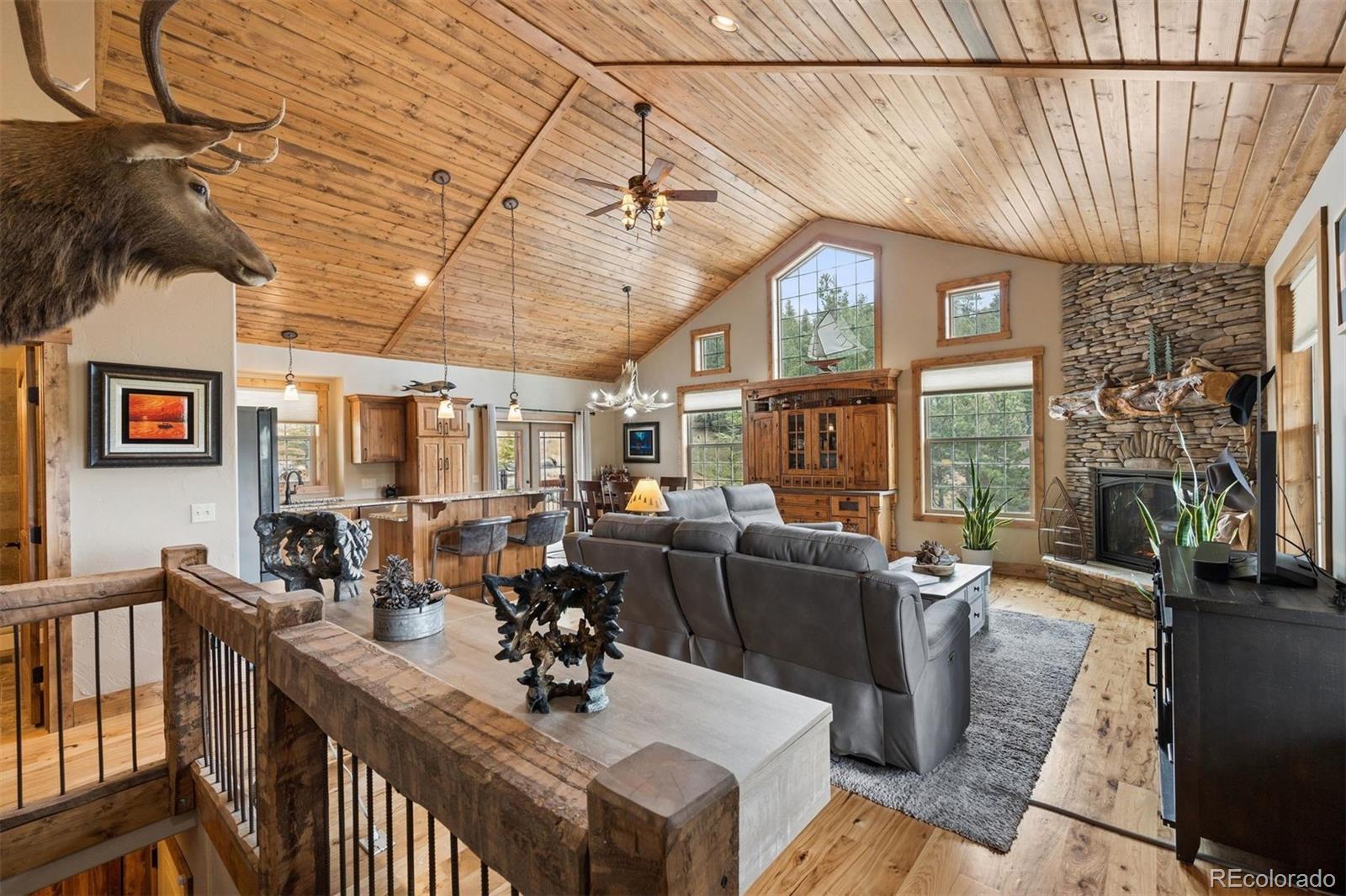 MLS Image #6 for 2894  county road 43 ,bailey, Colorado