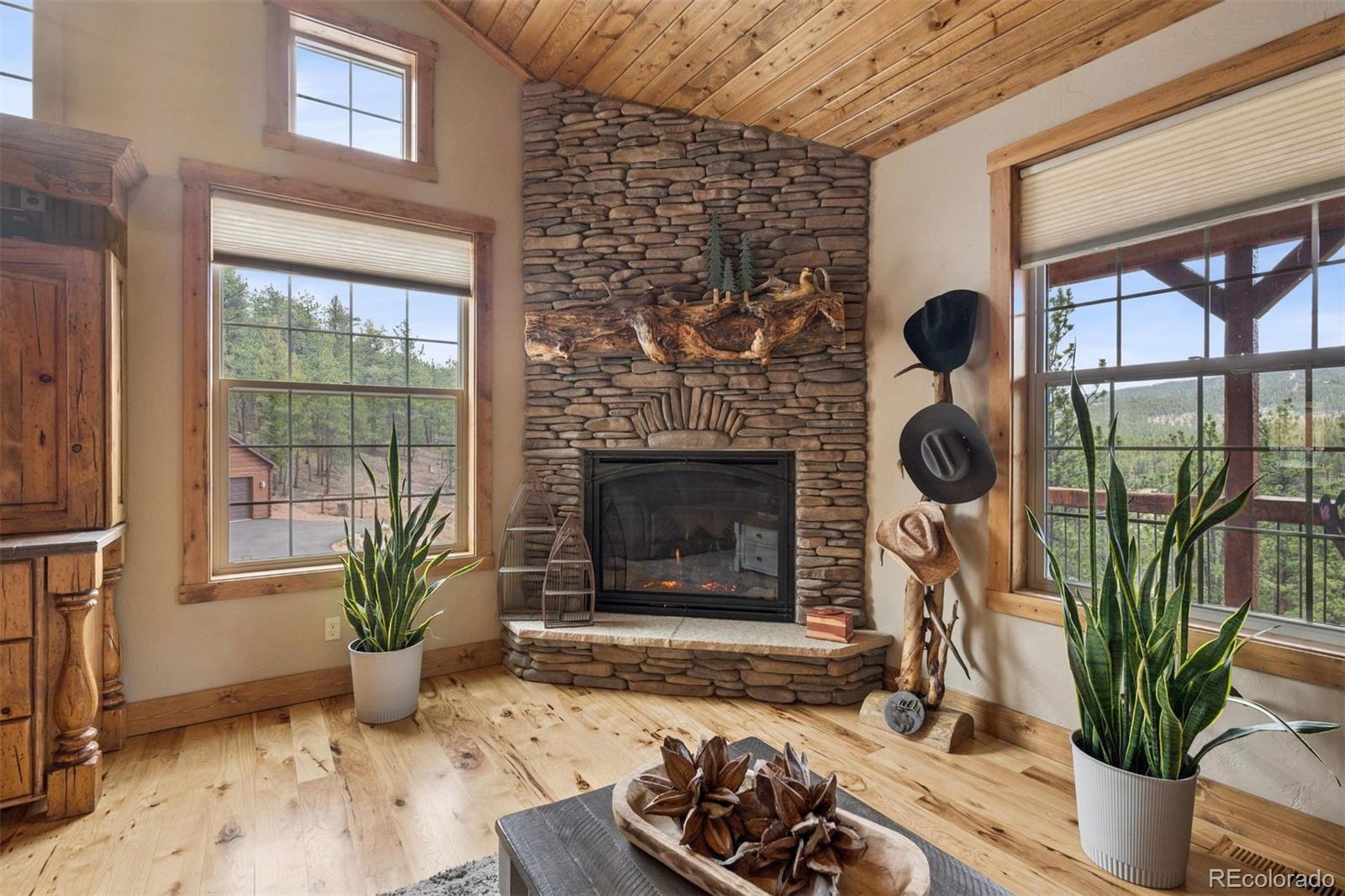 MLS Image #8 for 2894  county road 43 ,bailey, Colorado