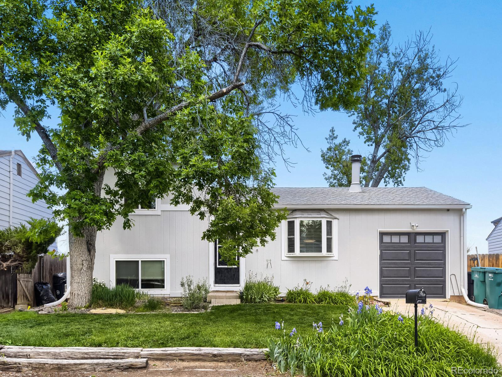 MLS Image #0 for 9831 w 105th avenue,broomfield, Colorado