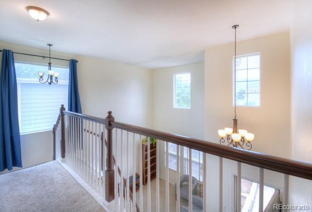 MLS Image #13 for 17085  foxcross drive,monument, Colorado