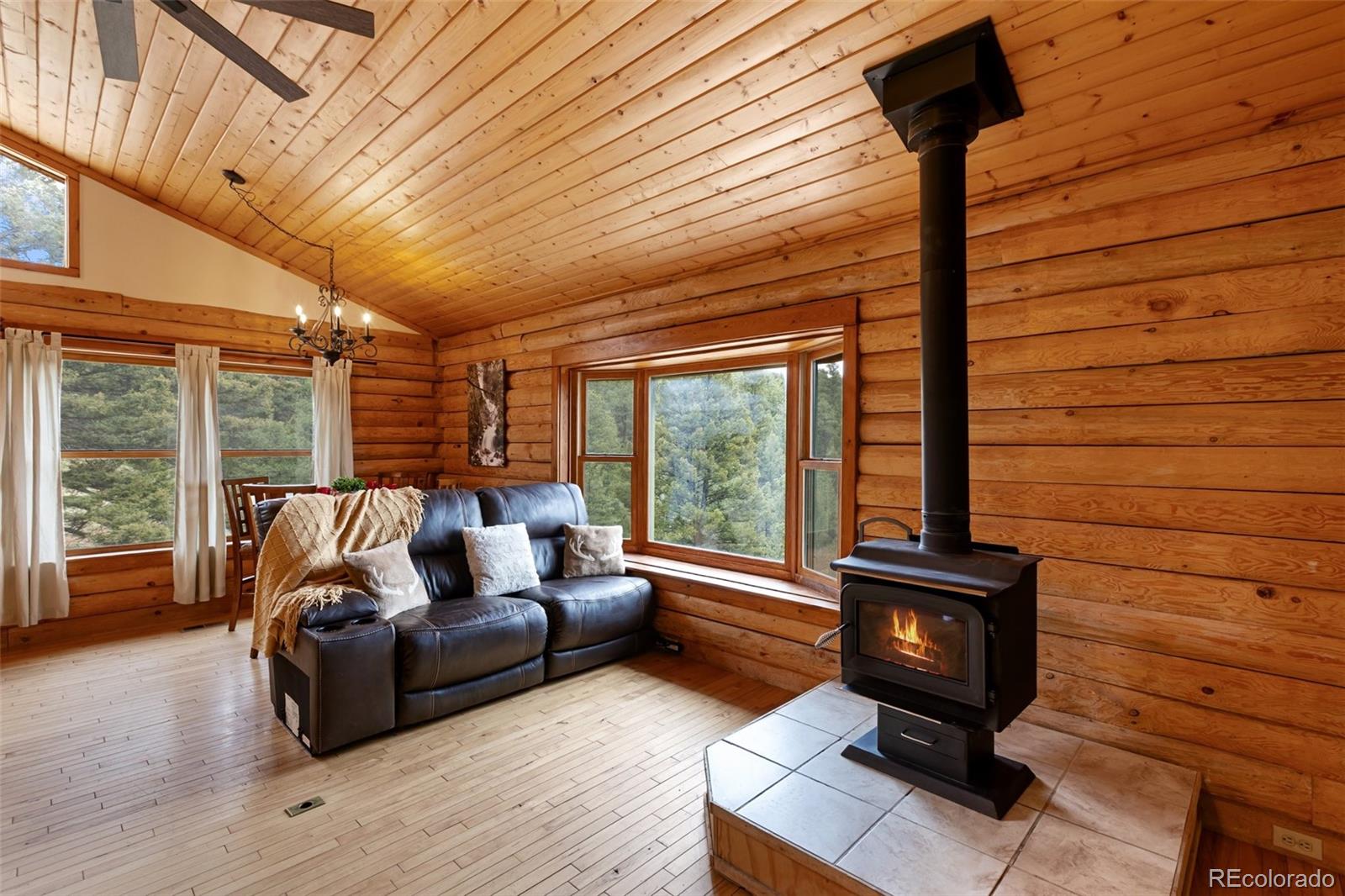 MLS Image #19 for 918  douglas fir drive,woodland park, Colorado
