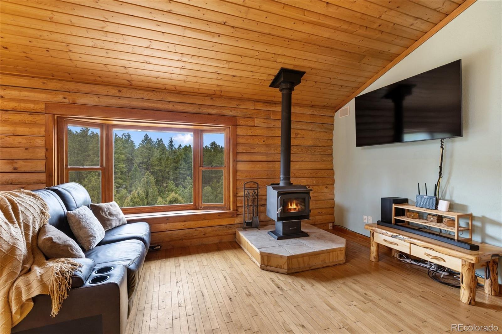 MLS Image #20 for 918  douglas fir drive,woodland park, Colorado