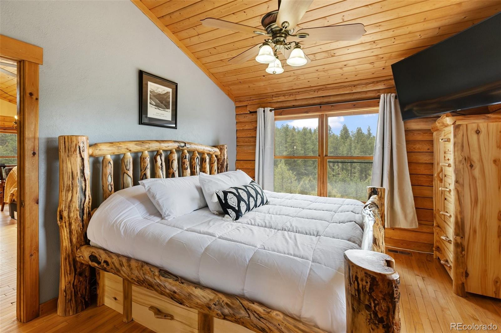 MLS Image #23 for 918  douglas fir drive,woodland park, Colorado