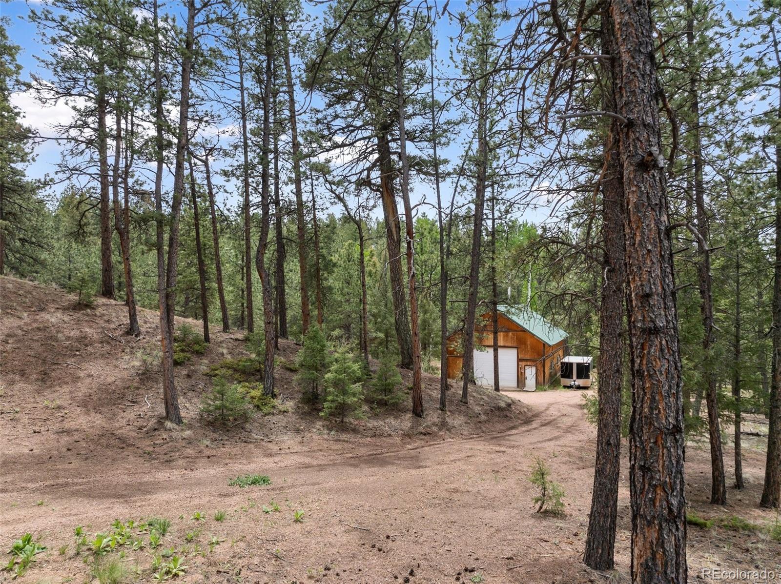 MLS Image #37 for 918  douglas fir drive,woodland park, Colorado