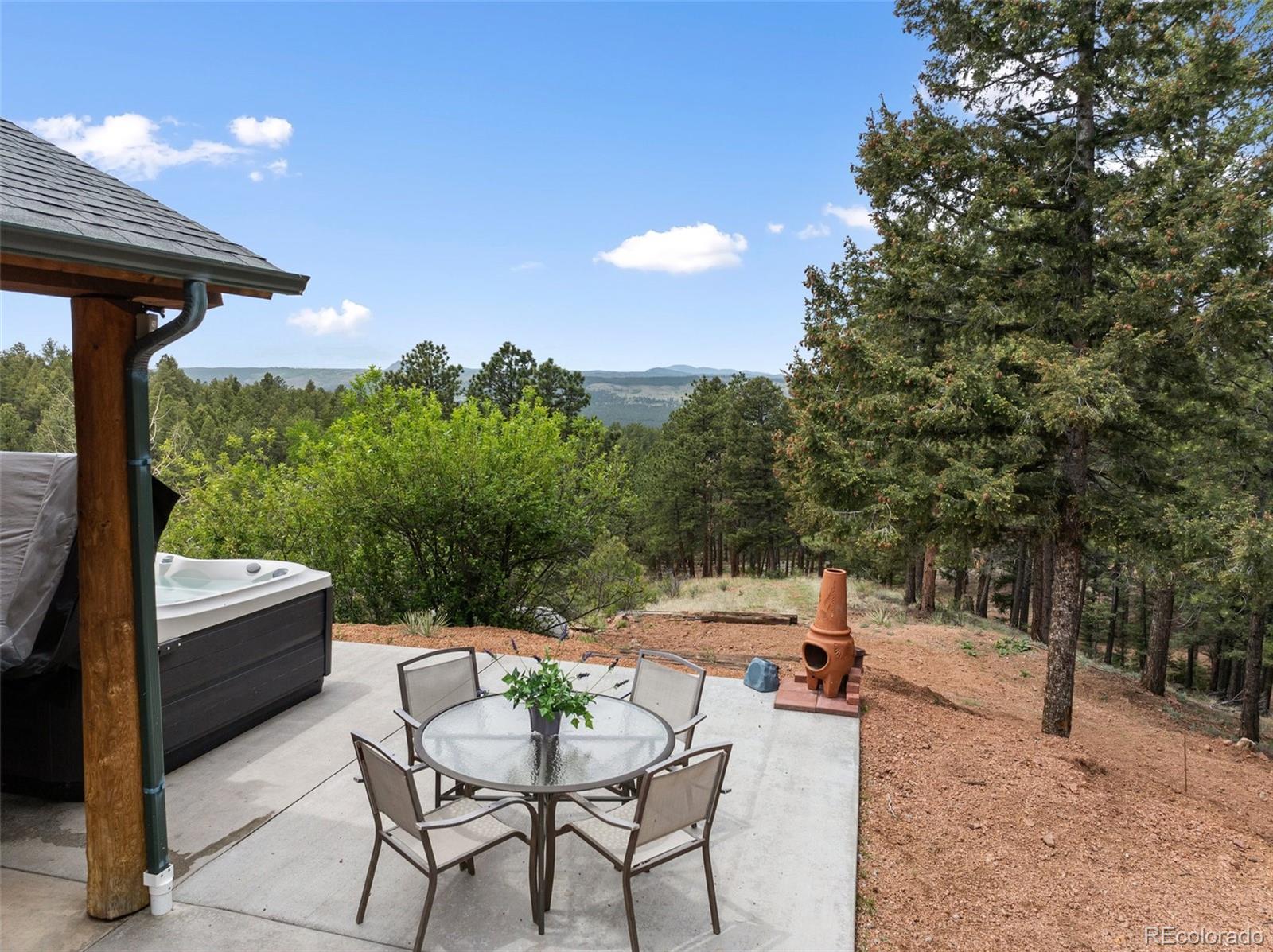 MLS Image #5 for 918  douglas fir drive,woodland park, Colorado
