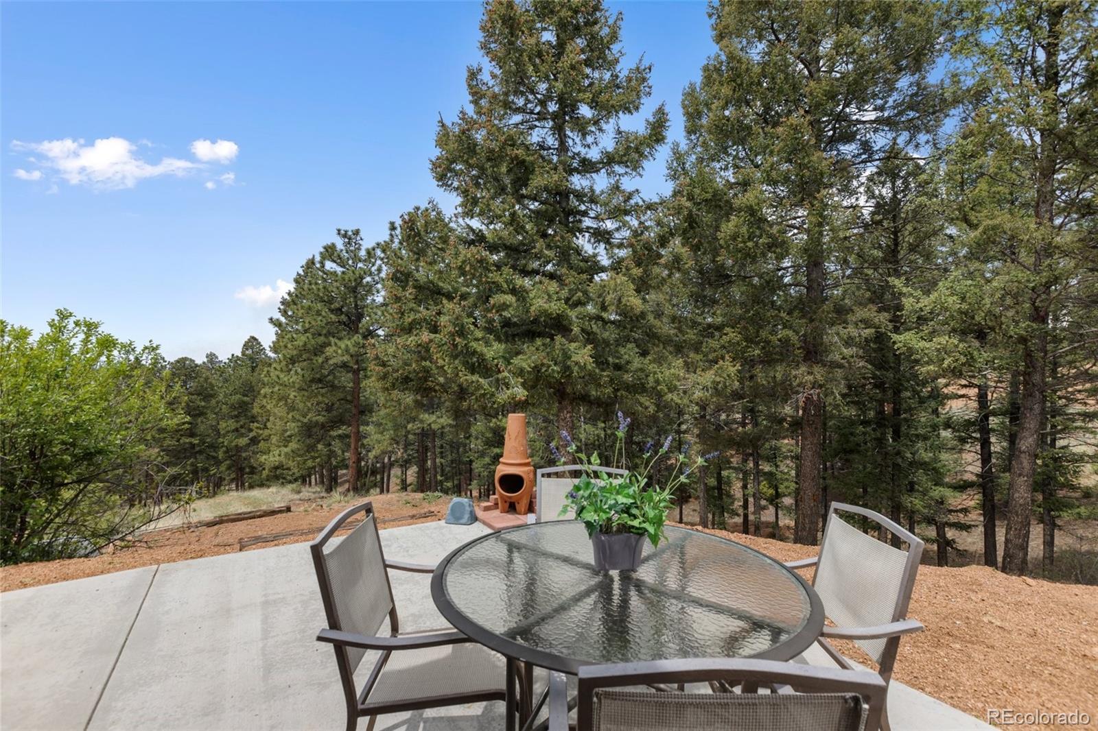 MLS Image #6 for 918  douglas fir drive,woodland park, Colorado