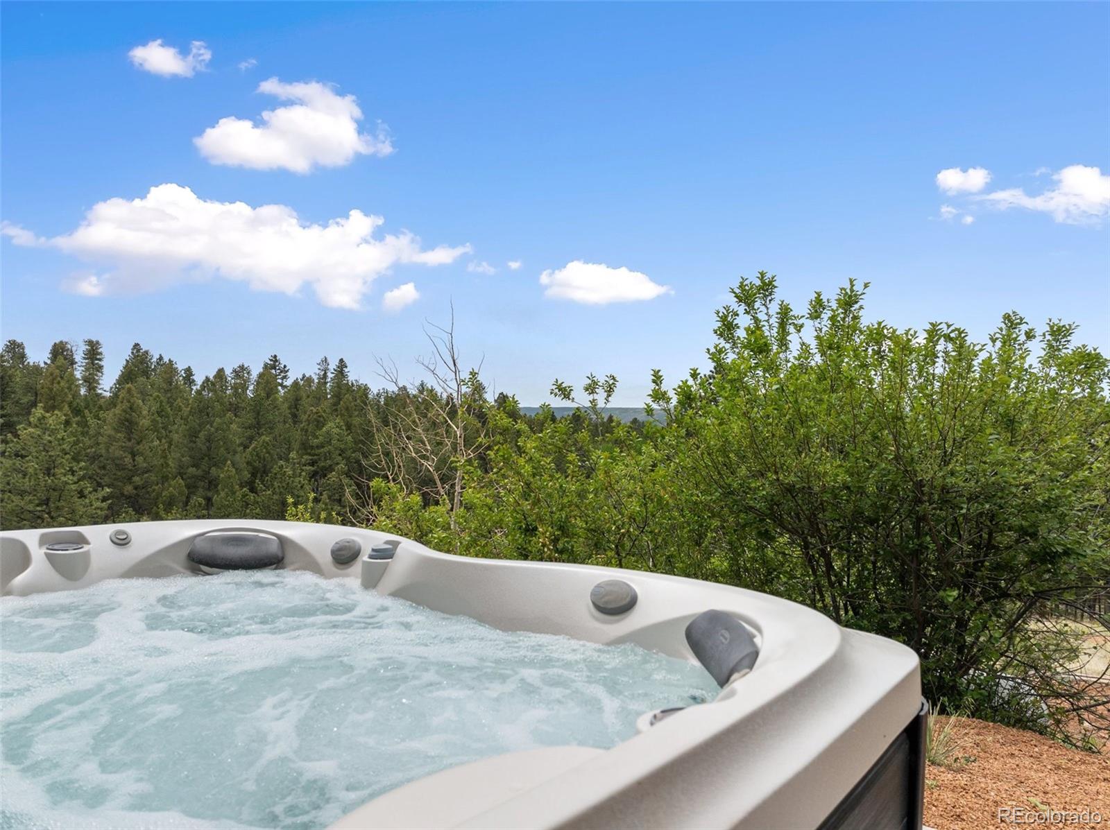 MLS Image #7 for 918  douglas fir drive,woodland park, Colorado