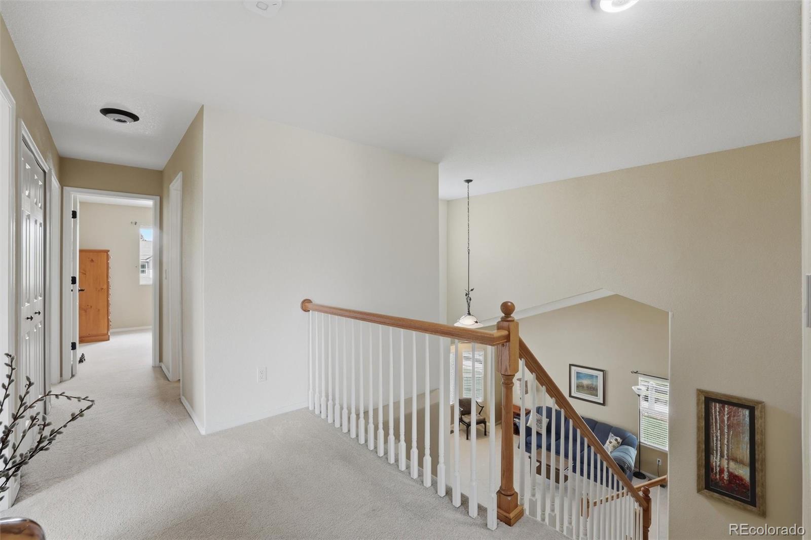 MLS Image #25 for 1353  lookout springs drive,colorado springs, Colorado