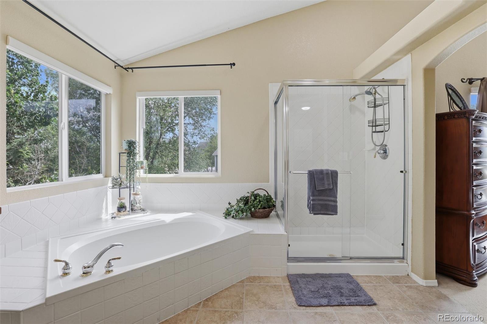MLS Image #31 for 1353  lookout springs drive,colorado springs, Colorado