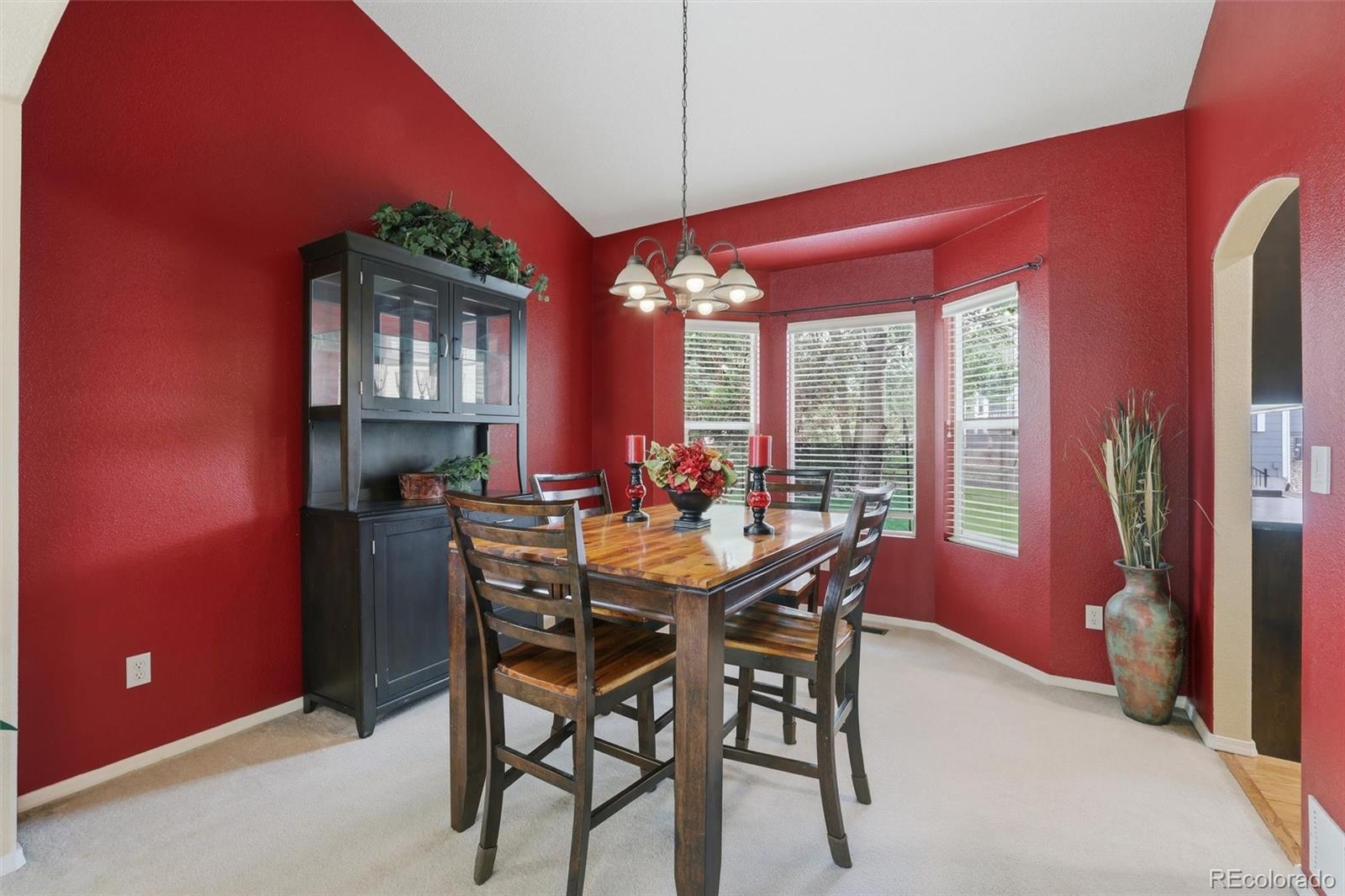 MLS Image #9 for 1353  lookout springs drive,colorado springs, Colorado