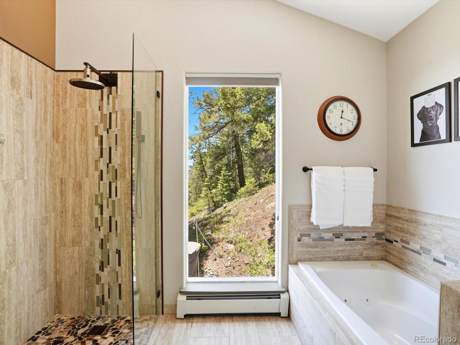 MLS Image #23 for 11629  nichols way,conifer, Colorado