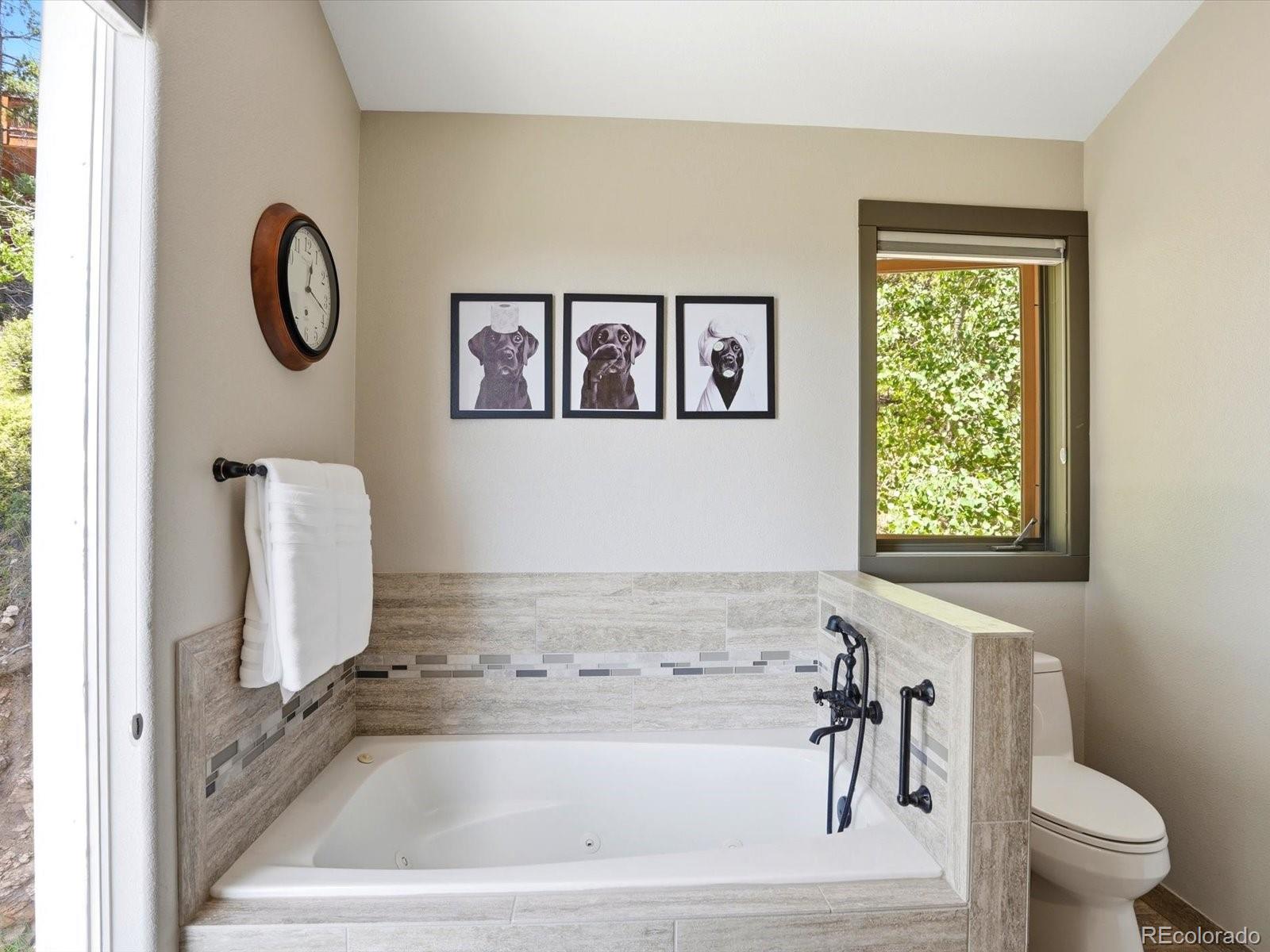 MLS Image #24 for 11629  nichols way,conifer, Colorado