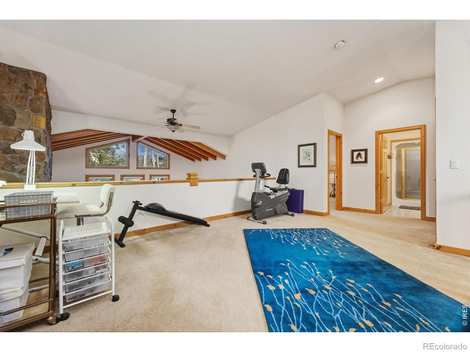 MLS Image #23 for 503  riverrock circle,estes park, Colorado