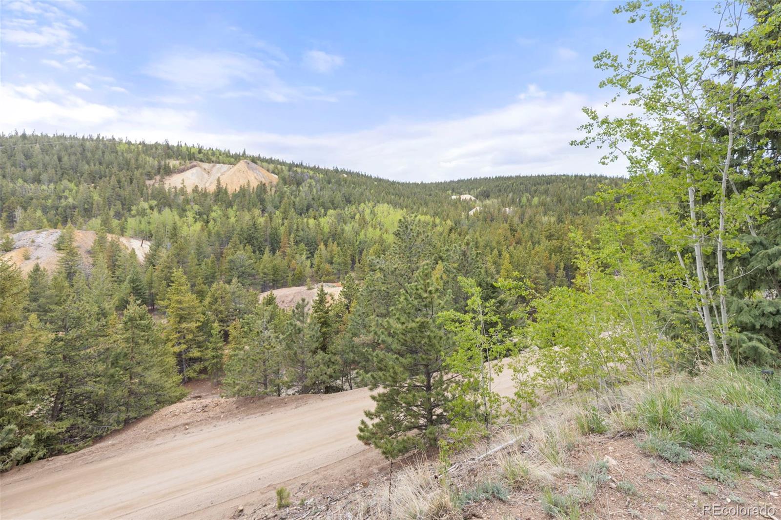MLS Image #23 for 1263  nevadaville road,golden, Colorado