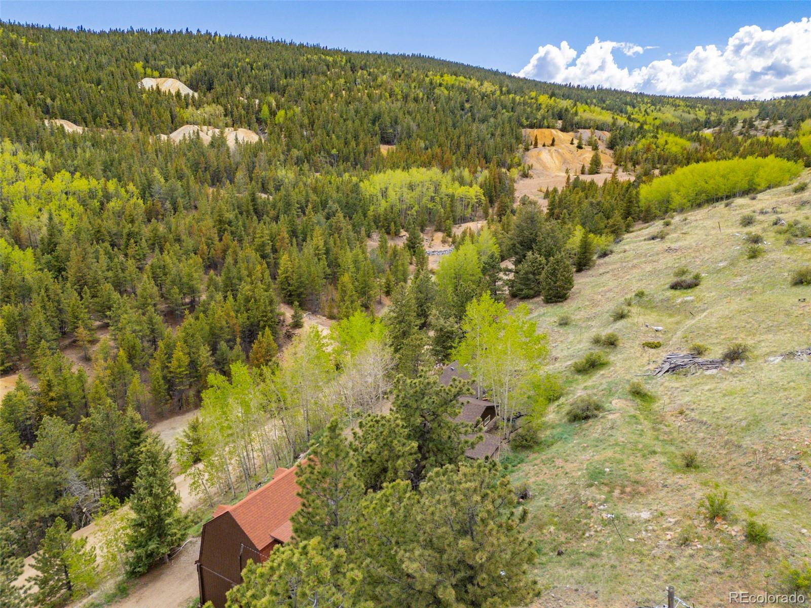 MLS Image #41 for 1263  nevadaville road,golden, Colorado