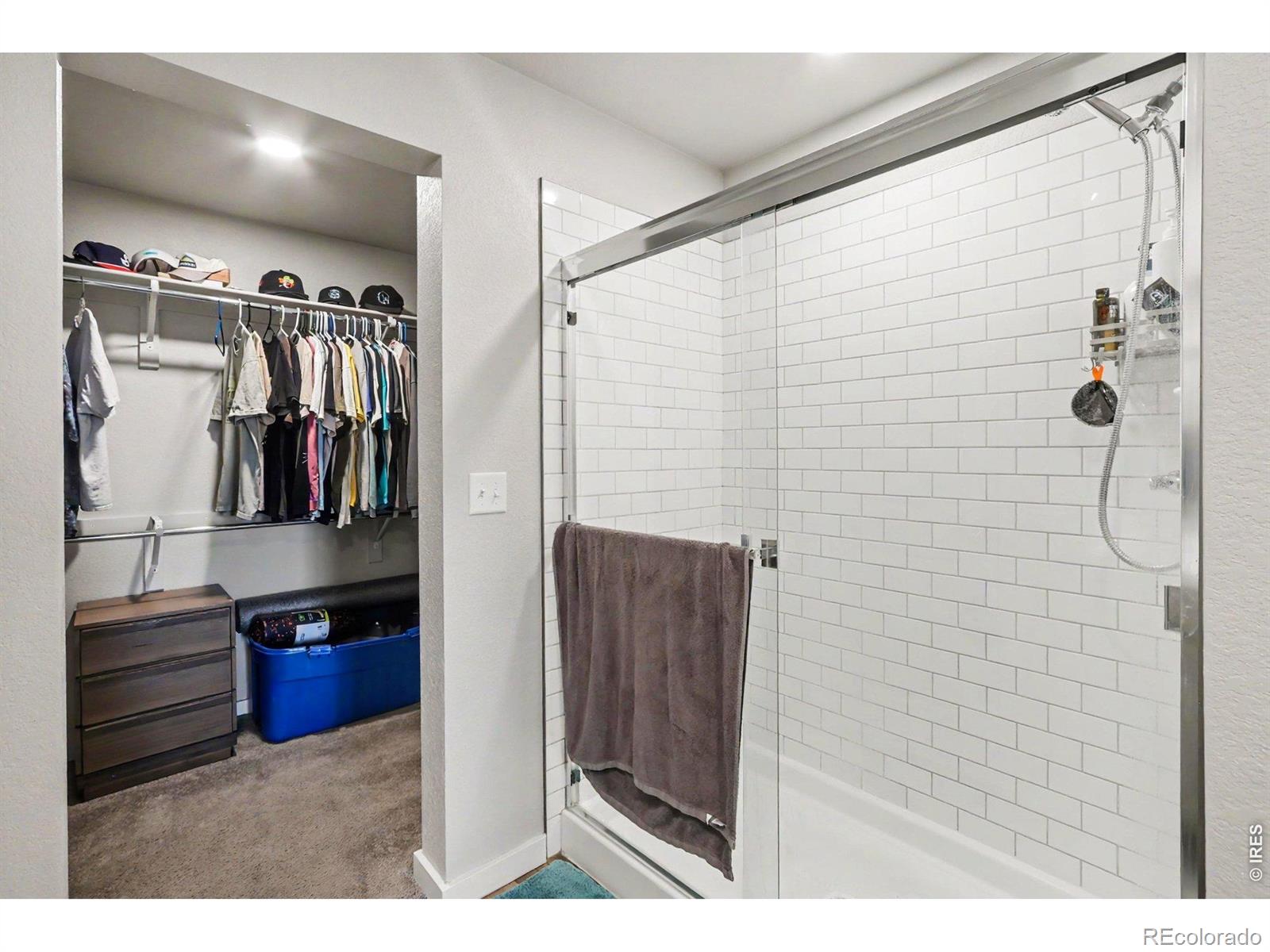 MLS Image #12 for 3654  ronald reagan avenue,wellington, Colorado