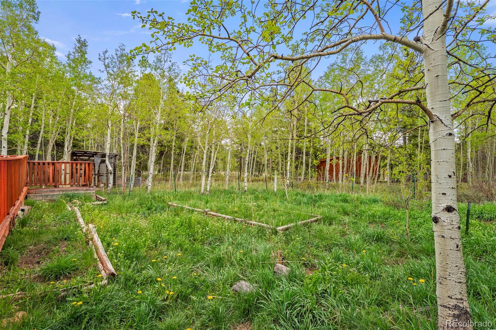 MLS Image #17 for 1456  highpoint circle,black hawk, Colorado