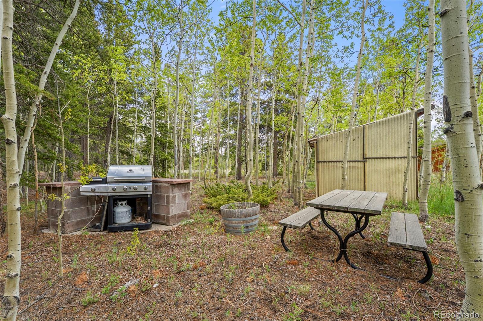 MLS Image #18 for 1456  highpoint circle,black hawk, Colorado