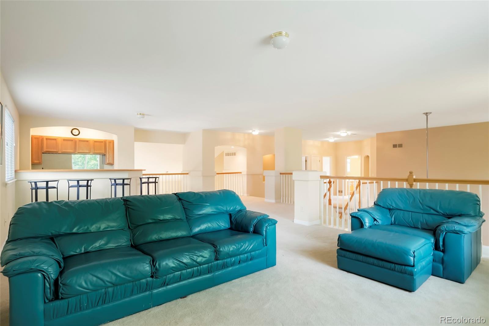 MLS Image #24 for 10473  grizzly gulch ,highlands ranch, Colorado